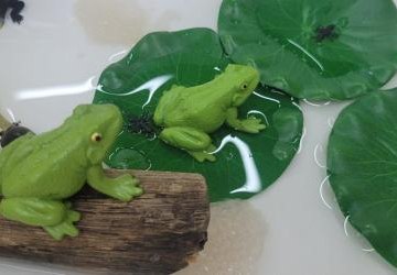 Zajęcia z cyklu ,,Dziki projekt” – fascynujący świat żab