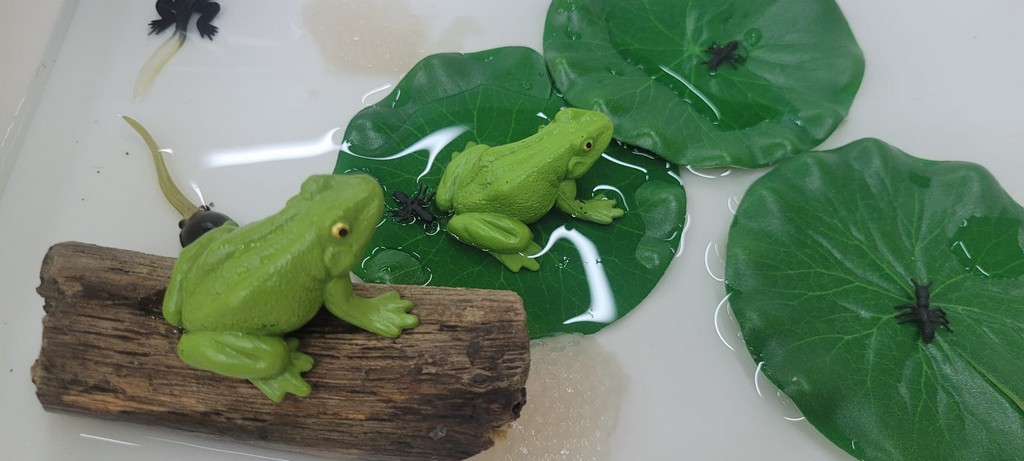 Zajęcia z cyklu ,,Dziki projekt” – fascynujący świat żab