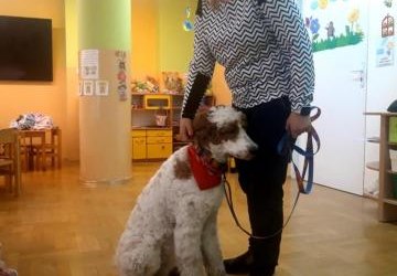 „Loki w naszej placówce”