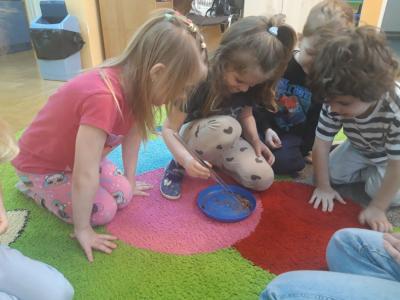 WhatsApp Image 2026-01-30 at 19.55.18.jpeg