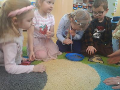 WhatsApp Image 2026-01-30 at 19.55.21.jpeg