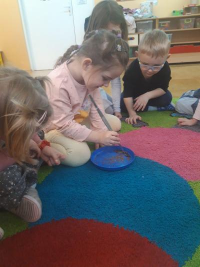 WhatsApp Image 2026-01-30 at 19.55.22 (1).jpeg