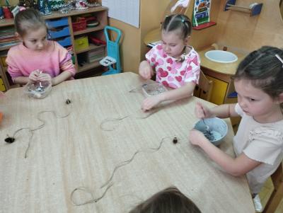 WhatsApp Image 2026-02-03 at 18.46.14.jpeg